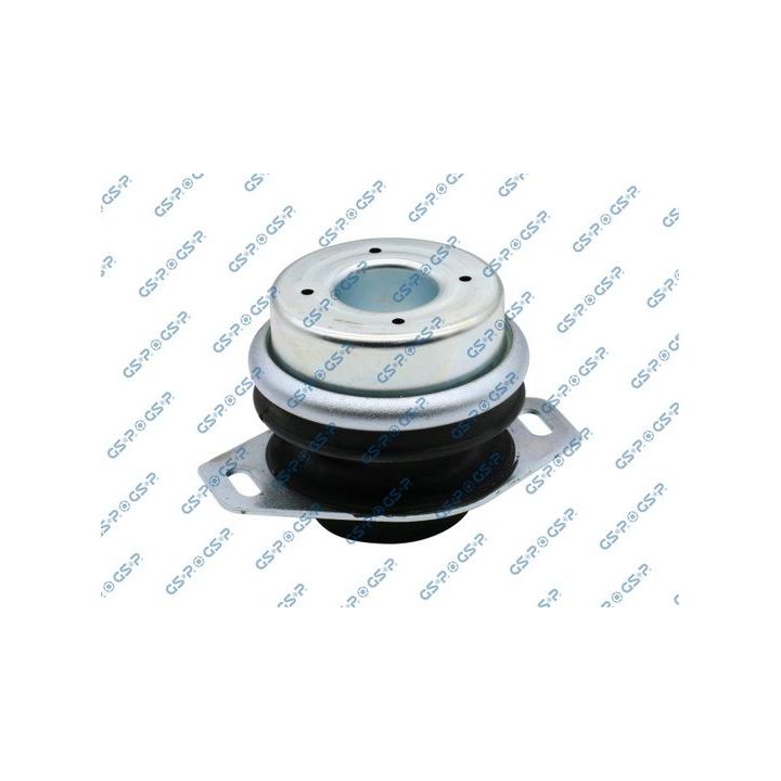 Variklio montavimas GSP 511931