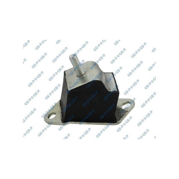 Variklio montavimas GSP 511941