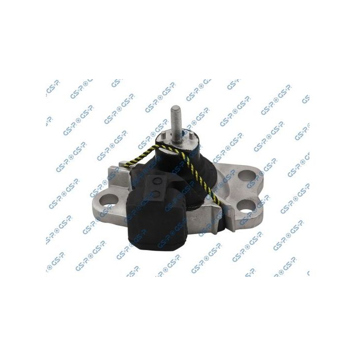Variklio montavimas GSP 511946