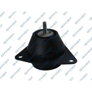 Variklio montavimas GSP 511947