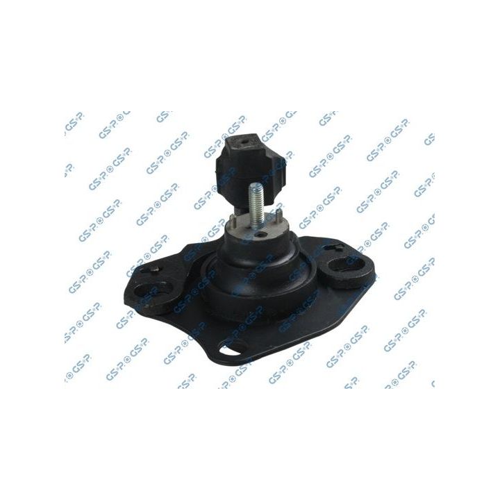 Variklio montavimas GSP 511948