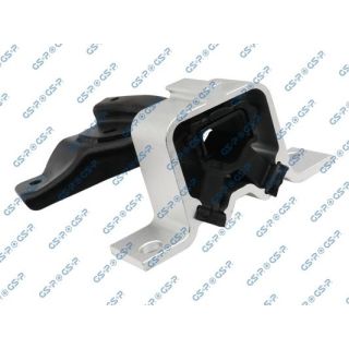 Variklio montavimas GSP 512407