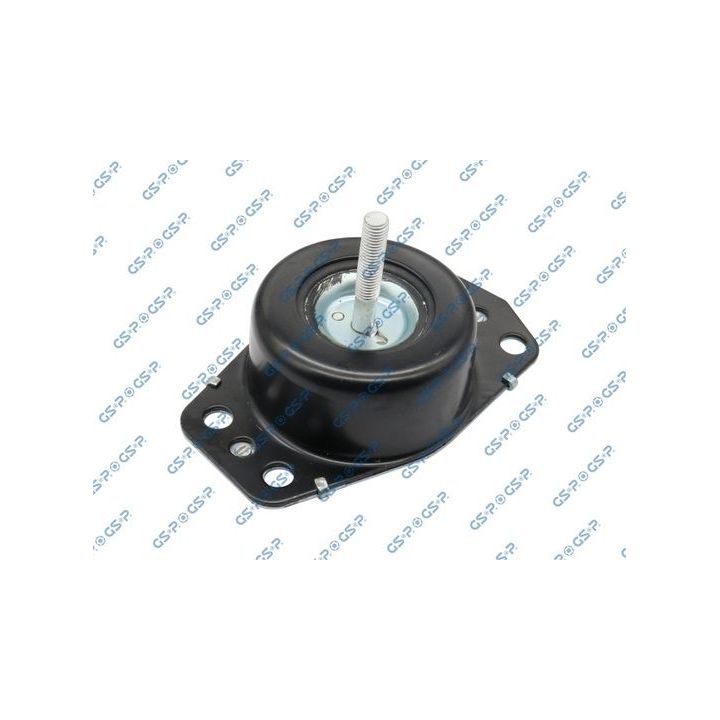 Variklio montavimas GSP 512437