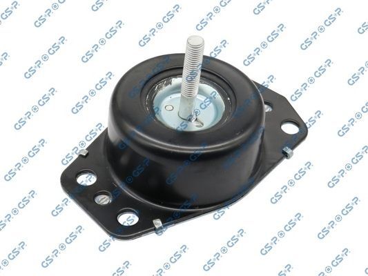 Variklio montavimas GSP 512437