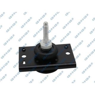 Variklio montavimas GSP 512439