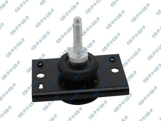 Variklio montavimas GSP 512439