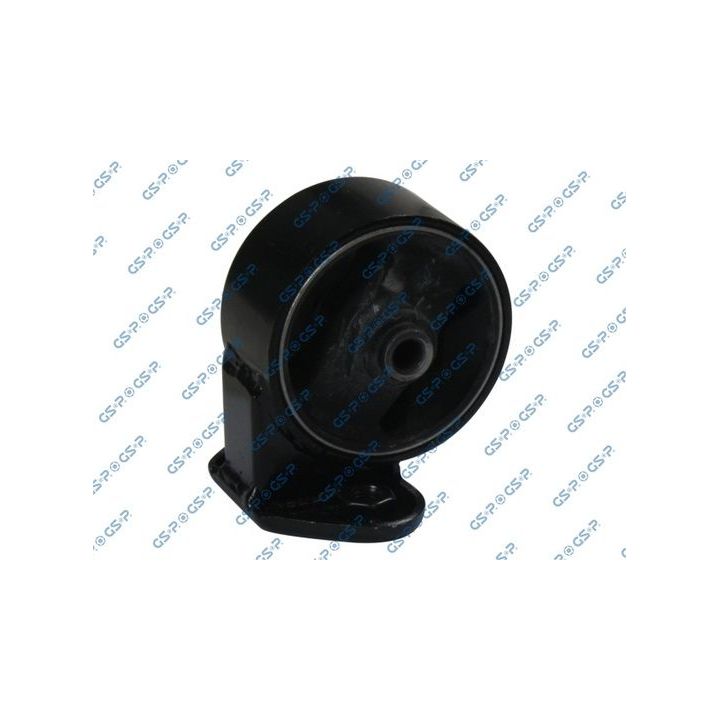 Variklio montavimas GSP 513365