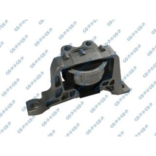 Variklio montavimas GSP 513679