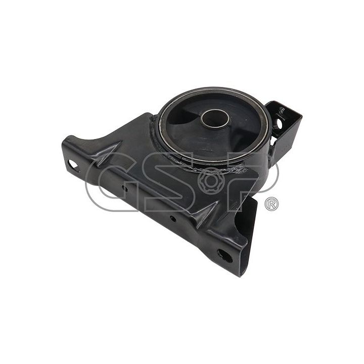 Variklio montavimas GSP 513726