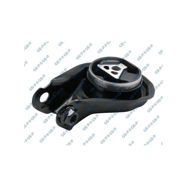 Variklio montavimas GSP 513727