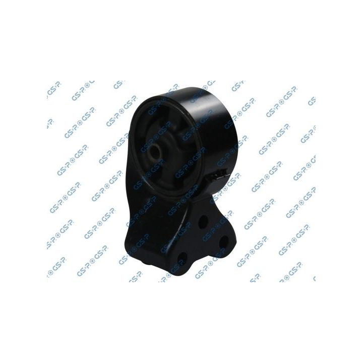 Variklio montavimas GSP 513755