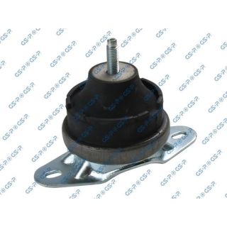 Variklio montavimas GSP 513890