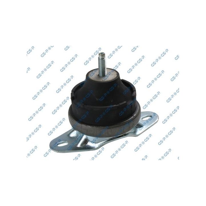 Variklio montavimas GSP 513890