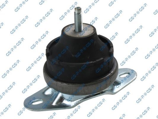 Variklio montavimas GSP 513890