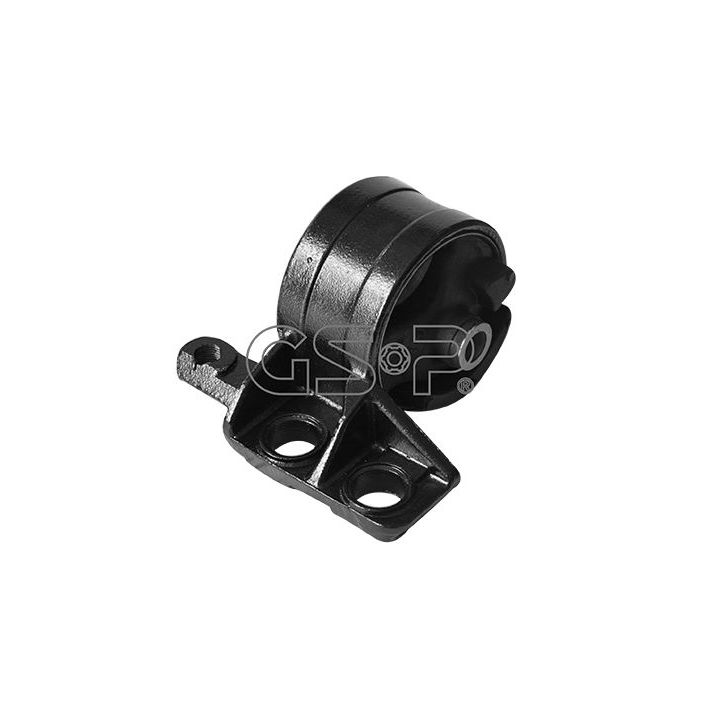 Variklio montavimas GSP 513993