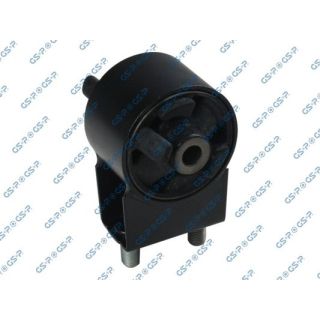 Variklio montavimas GSP 513996