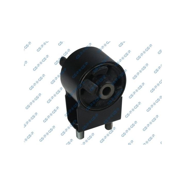 Variklio montavimas GSP 513996