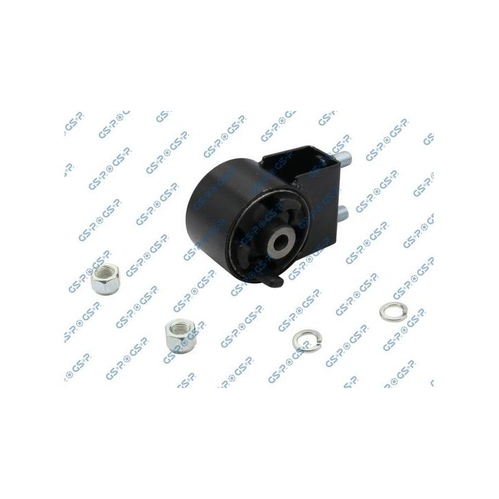 Variklio montavimas GSP 513996S