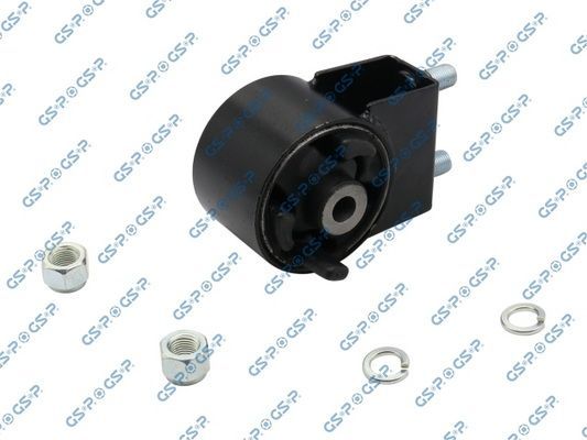 Variklio montavimas GSP 513996S