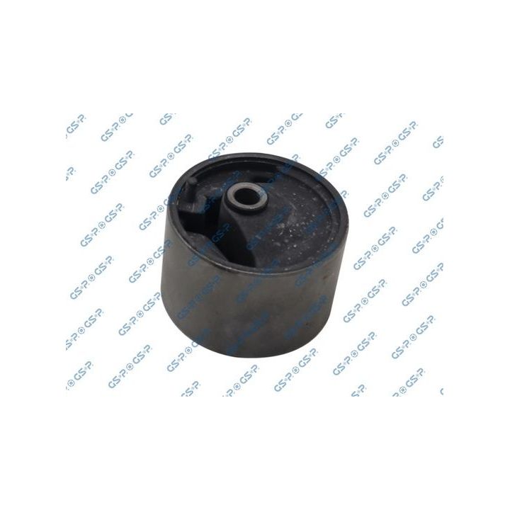 Variklio montavimas GSP 514001