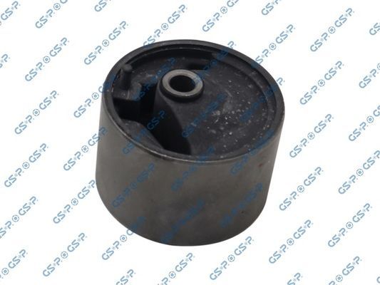 Variklio montavimas GSP 514001