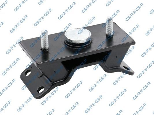 Variklio montavimas GSP 514293