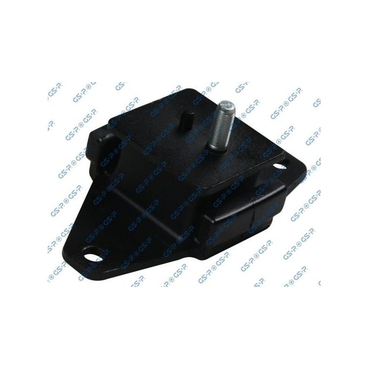 Variklio montavimas GSP 514294