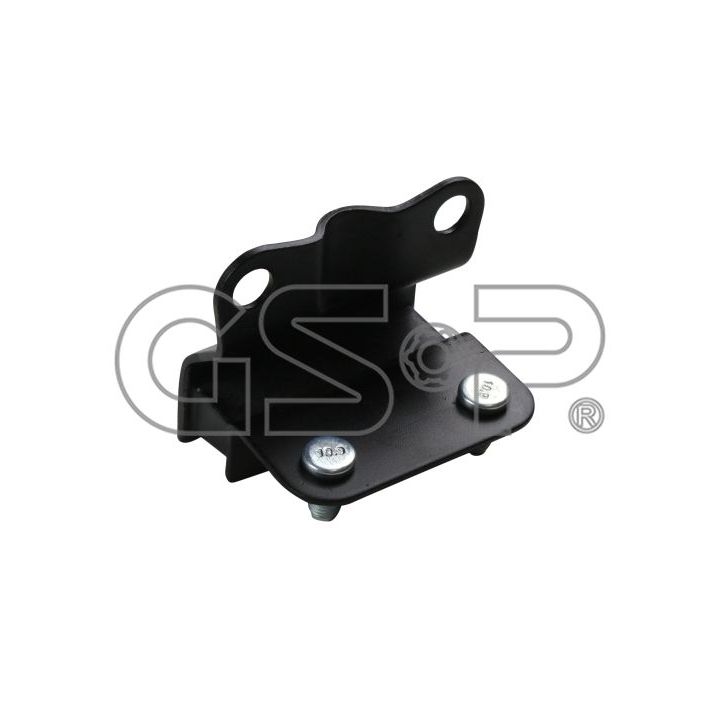 Variklio montavimas GSP 514361
