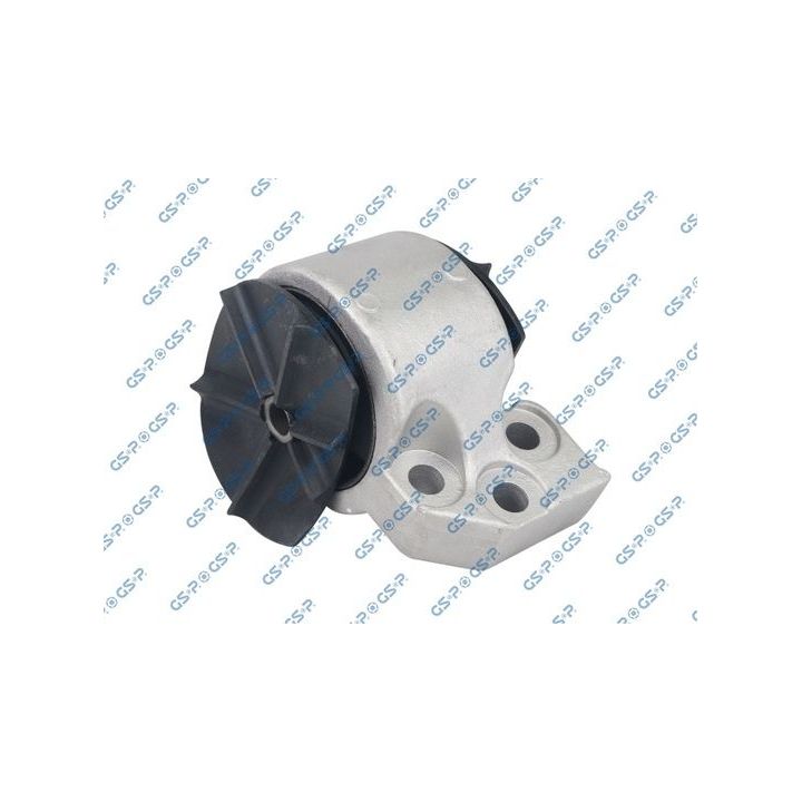 Variklio montavimas GSP 514379