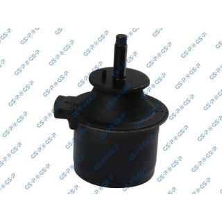 Variklio montavimas GSP 514544