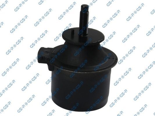 Variklio montavimas GSP 514544