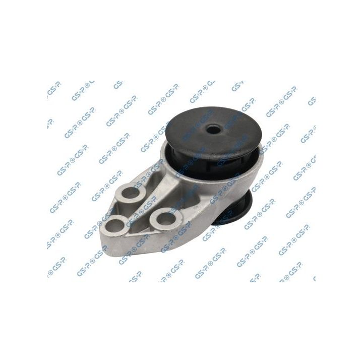 Variklio montavimas GSP 514572