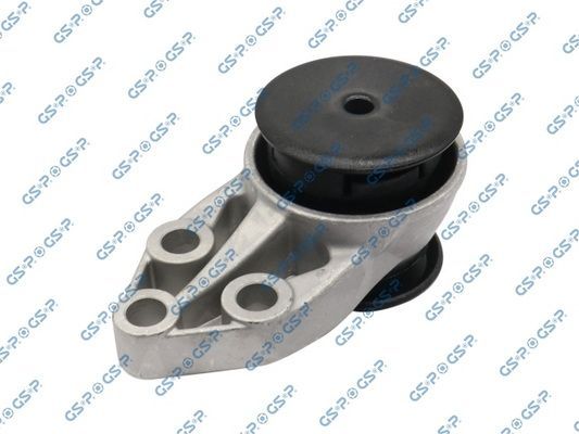 Variklio montavimas GSP 514572