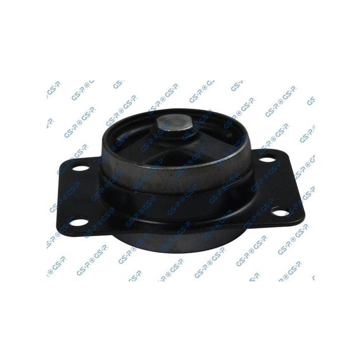 Variklio montavimas GSP 514610