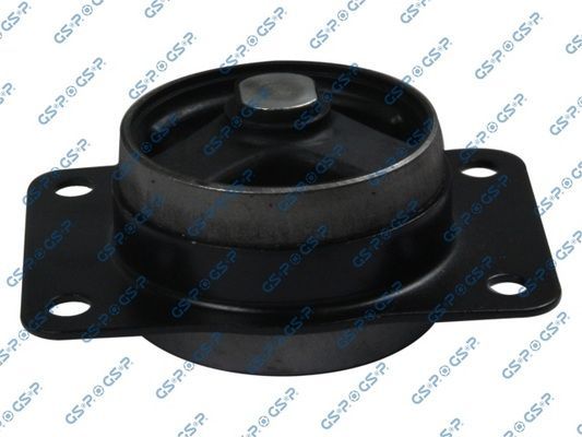 Variklio montavimas GSP 514610