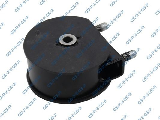 Variklio montavimas GSP 514611