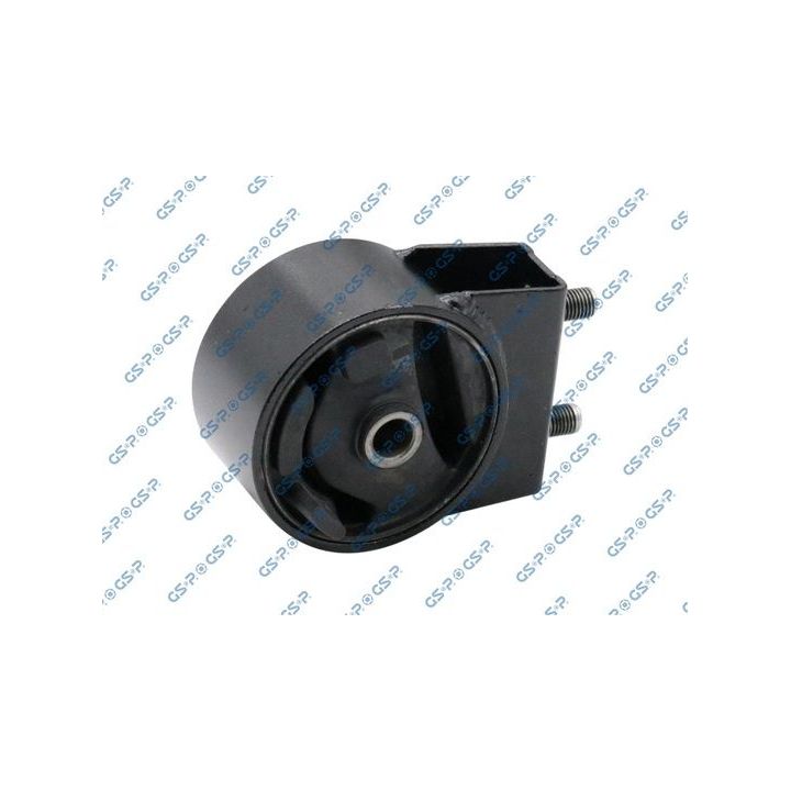 Variklio montavimas GSP 514669