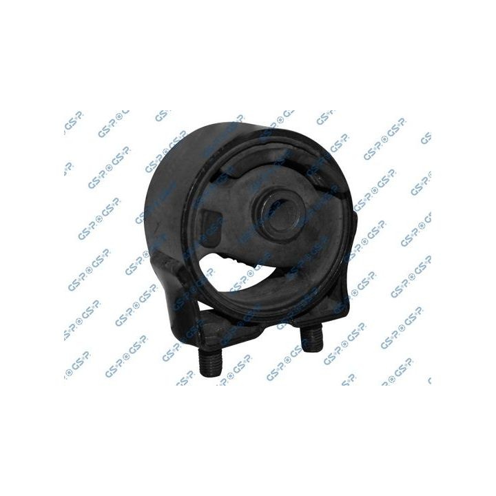 Variklio montavimas GSP 514673