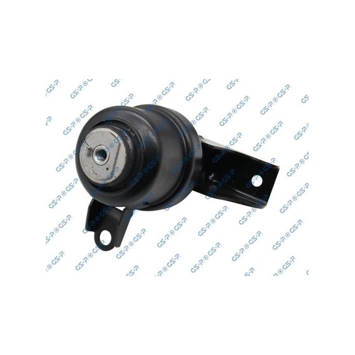 Variklio montavimas GSP 514715