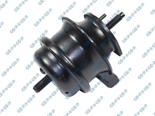 Variklio montavimas GSP 514729