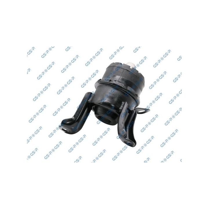 Variklio montavimas GSP 514756