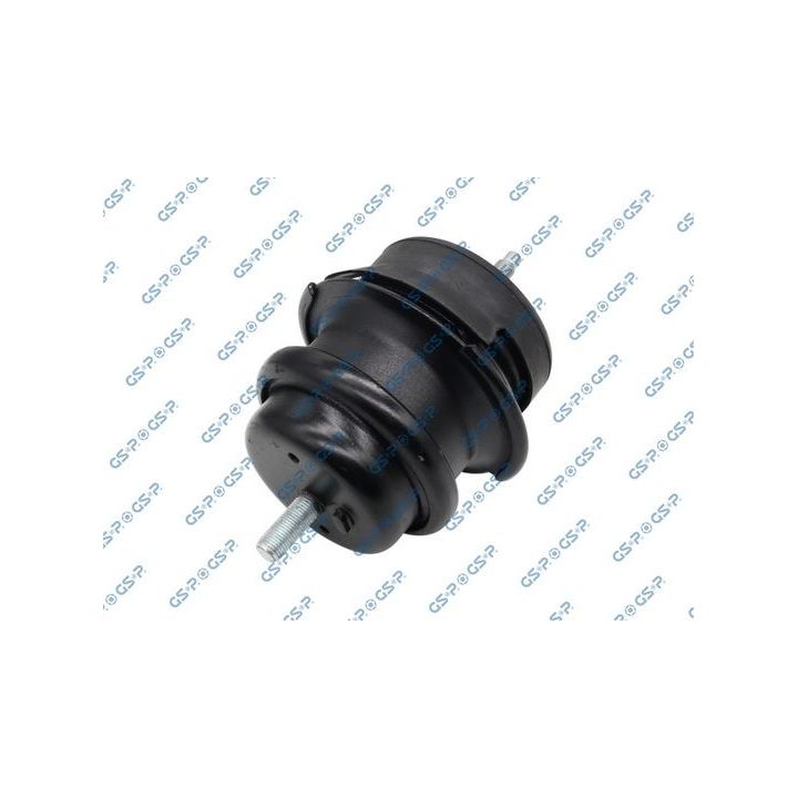 Variklio montavimas GSP 514765