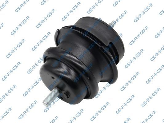 Variklio montavimas GSP 514765