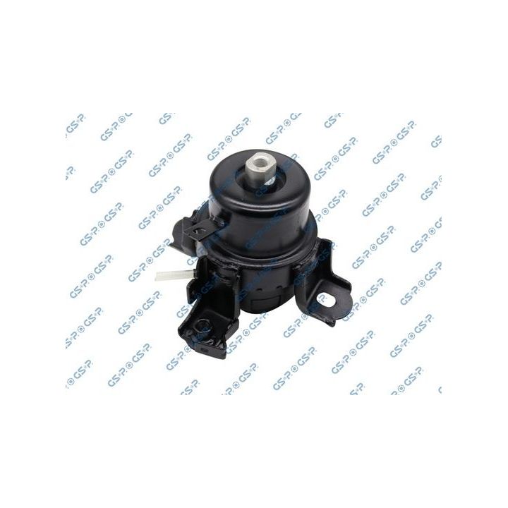 Variklio montavimas GSP 514767