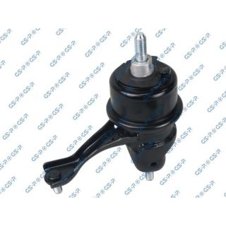 Variklio montavimas GSP 514774