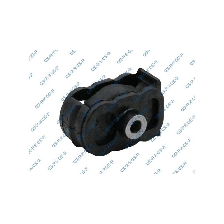 Variklio montavimas GSP 516679