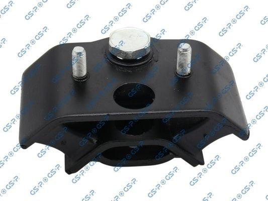 Variklio montavimas GSP 517446