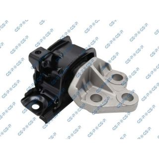 Variklio montavimas GSP 517456