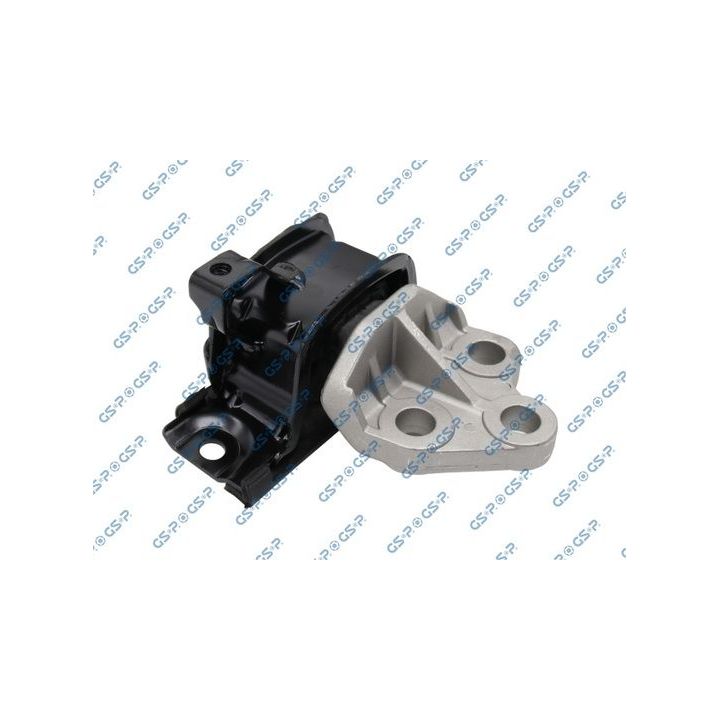 Variklio montavimas GSP 517456