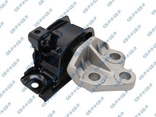 Variklio montavimas GSP 517456